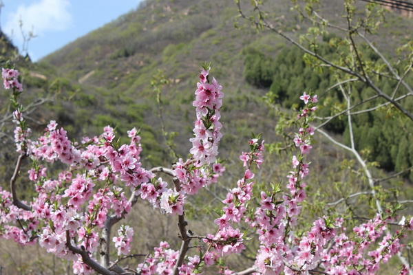 徒步大会002.jpg 徒步大会002.jpg